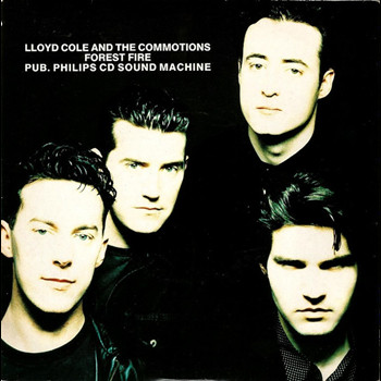 Pochette de Lloyd Cole And The Commotions - Forest fire