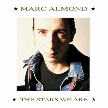 Pochette de Marc Almond / Gene Pitney - Something's Gotten Hold of My Heart