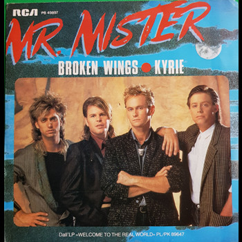 Pochette de Mr. Mister - Broken wings