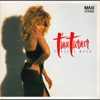 Pochette de Tina Turner - Typical male